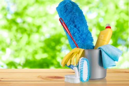 Professional carpet cleaners working on a residential carpet in Barnehurst