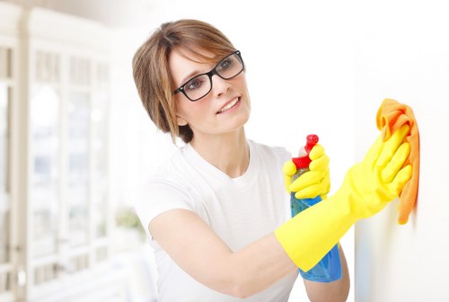 Preventing household stains in Barnehurst