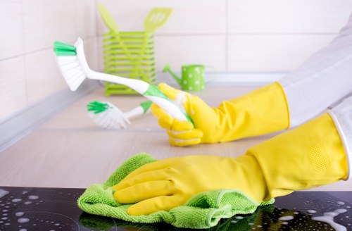 Professional curtain cleaning in Barnehurst home interior
