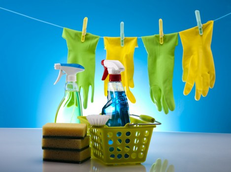 Cleaning carpet and upholstery stains in Barnehurst