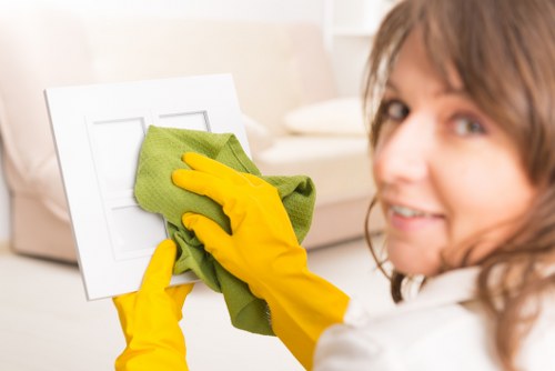 Deep cleaning process for pet stains and smells in Barnehurst